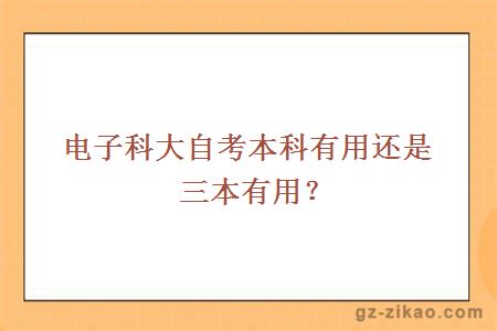 電子科大自考本科