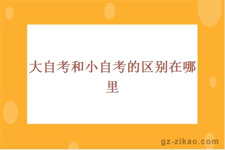 大自考和小自考的區別在哪里