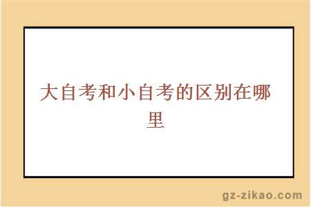 大小自考區別