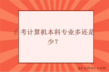 自考計算機本科專(zhuān)業(yè)多還是少？