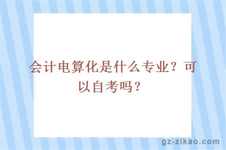 會(huì )計電算化
