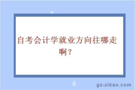 自考會(huì )計學(xué)就業(yè)方向往哪走??？