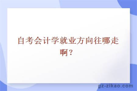 自考會(huì )計學(xué)