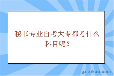 秘書(shū)專(zhuān)業(yè)