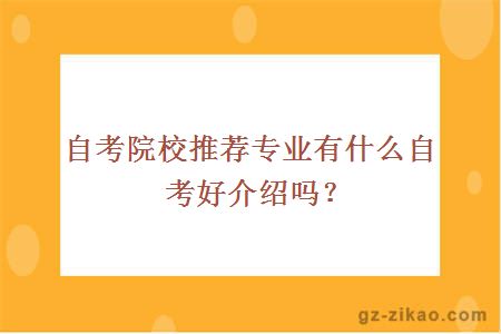 自考院校推薦專(zhuān)業(yè)有什么自考好介紹嗎？