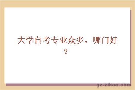 大學(xué)自考專(zhuān)業(yè)眾多，哪門(mén)好？