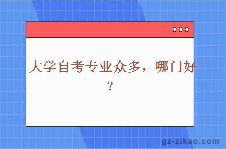 自考專(zhuān)業(yè)
