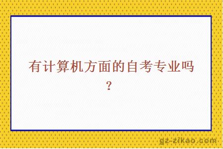 有計算機方面的自考專(zhuān)業(yè)嗎？