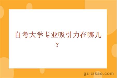 自考大學(xué)專(zhuān)業(yè)吸引力在哪兒？