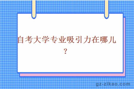 大學(xué)專(zhuān)業(yè)吸引力在哪兒？
