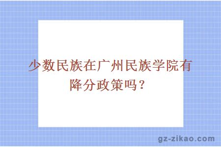 少數民族