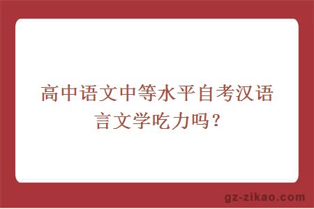 漢語(yǔ)言文學(xué)