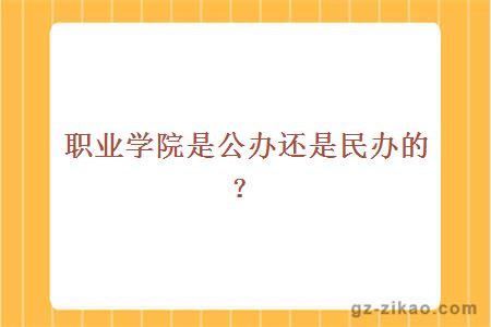 職業(yè)學(xué)院是公辦還是民辦的