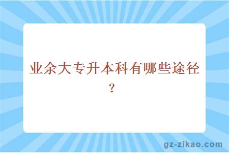 業(yè)余大專(zhuān)升本科有哪些途徑