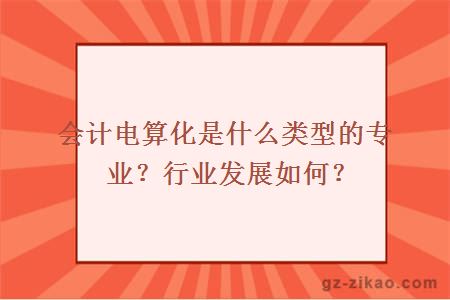 會(huì )計電算化