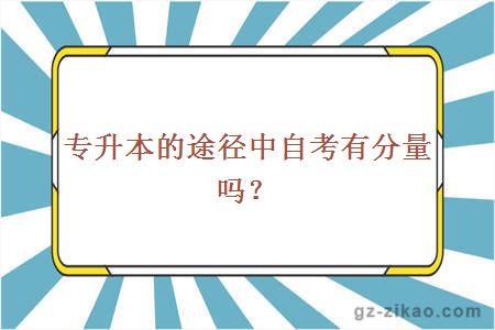 專(zhuān)升本
