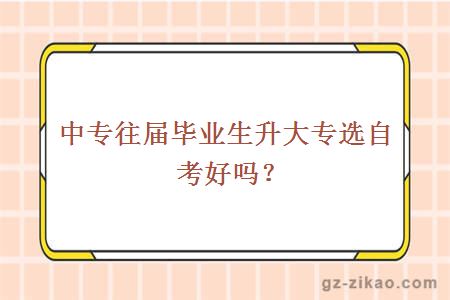 中專(zhuān)往屆畢業(yè)生升大專(zhuān)選自考好嗎？
