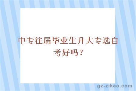 中專(zhuān)往屆畢業(yè)生升大專(zhuān)選自考好嗎