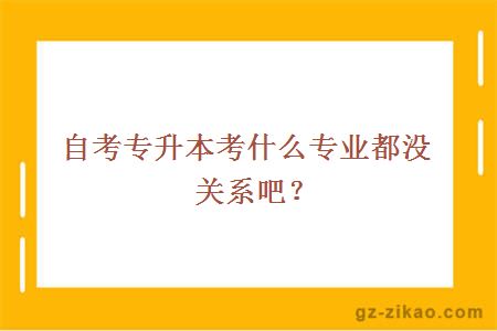 自考專(zhuān)升本