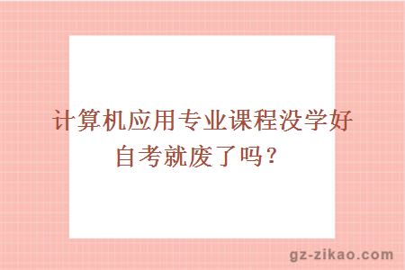 計算機應用專(zhuān)業(yè)課程沒(méi)學(xué)好自考就廢了嗎？