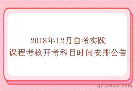 實(shí)踐課程
