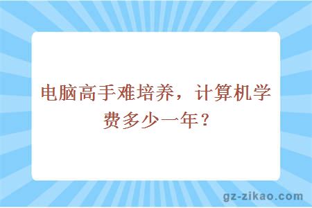 電腦高手難培養，計算機學(xué)費多少一年？