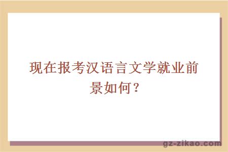 現在報考漢語(yǔ)言文學(xué)就業(yè)前景如何？