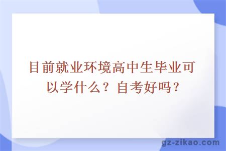 目前就業(yè)環(huán)境高中生畢業(yè)可以學(xué)什么？自考好嗎？