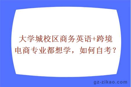 大學(xué)城校區商務(wù)英語(yǔ)+跨境電商專(zhuān)業(yè)都想學(xué)，如何自考？