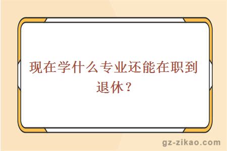 自考專(zhuān)業(yè)