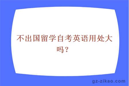 不出國留學(xué)自考英語(yǔ)用處大嗎？