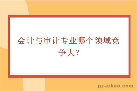 會(huì )計與審計