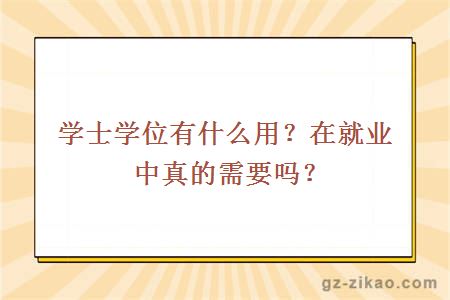 學(xué)士學(xué)位