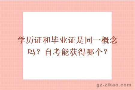 學(xué)歷證