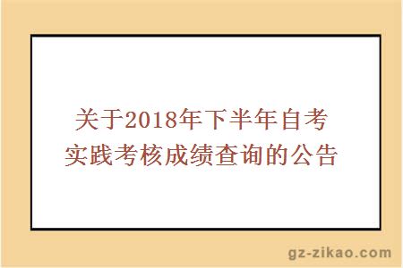 關(guān)于2018年下半年自考實(shí)踐考核成績(jì)查詢(xún)的公告