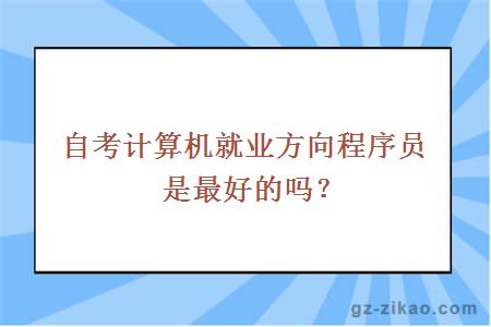 自考計算機就業(yè)方向程序員是最好的嗎？