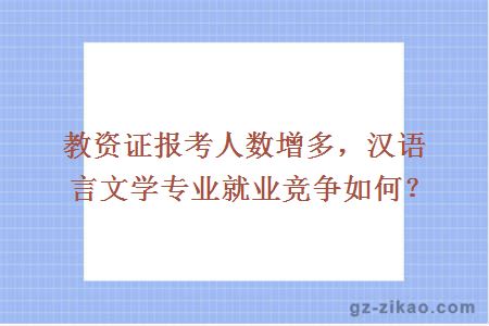 漢語(yǔ)言文學(xué)