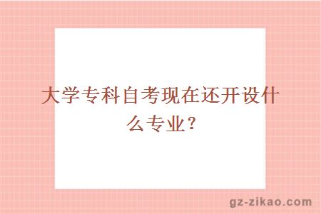 大學(xué)專(zhuān)科自考現在還開(kāi)設什么專(zhuān)業(yè)？