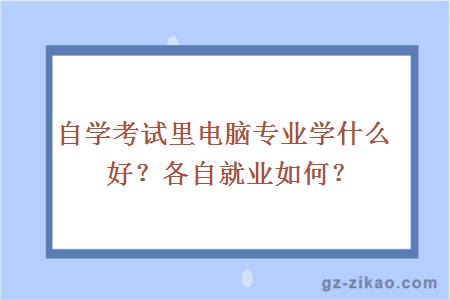 電腦專(zhuān)業(yè)