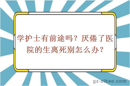 護士專(zhuān)業(yè)