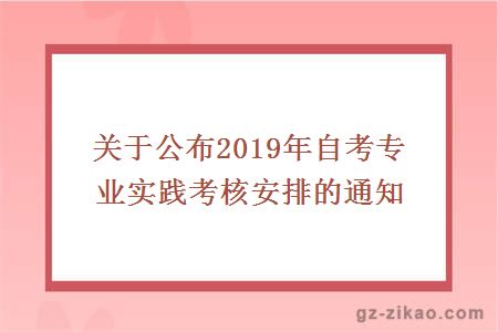 關(guān)于公布2019年自考專(zhuān)業(yè)實(shí)踐考核安排的通知