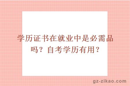 學(xué)歷證書(shū)在就業(yè)中是必需品嗎？自考學(xué)歷有用？