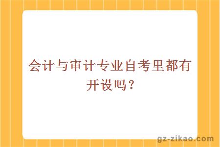 會(huì )計與審計