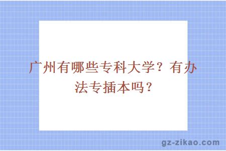 專(zhuān)插本