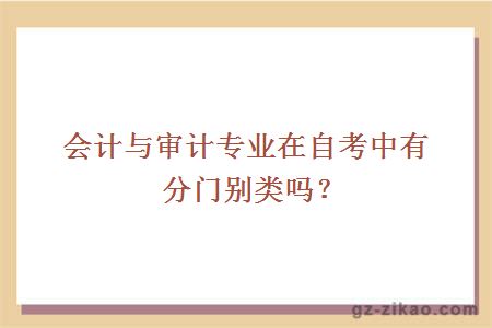 會(huì )計與審計