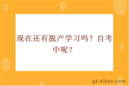 現在還有脫產(chǎn)學(xué)習嗎？自考中呢？