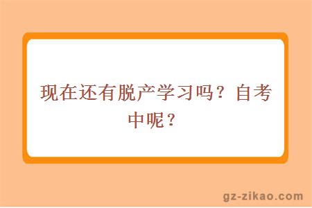 脫產(chǎn)學(xué)習