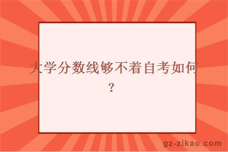 大學(xué)分數線(xiàn)夠不著(zhù)自考如何？