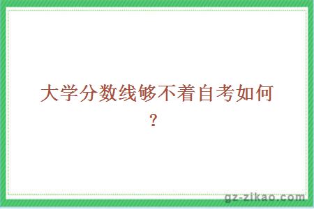 大學(xué)分數線(xiàn)夠不著(zhù)自考如何？