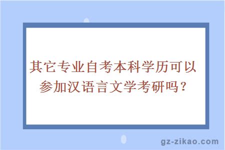 其它專(zhuān)業(yè)自考本科學(xué)歷可以參加漢語(yǔ)言文學(xué)考研嗎？